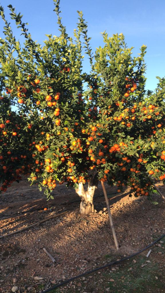 0142d35d-408b-4316-bf35-7e1766d9bbb4