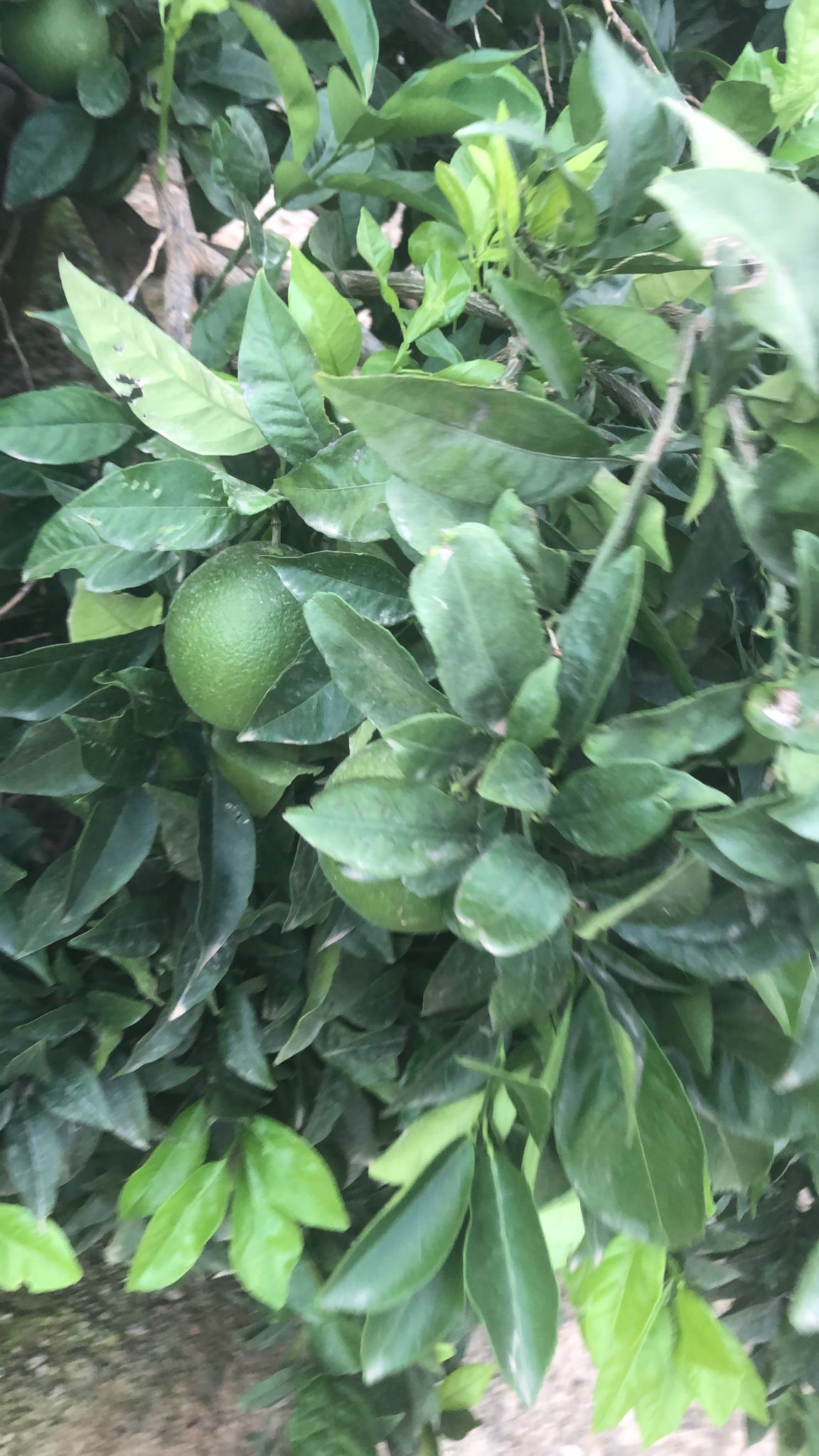 059aab6b-470f-4abe-b637-ac9818d07c2b