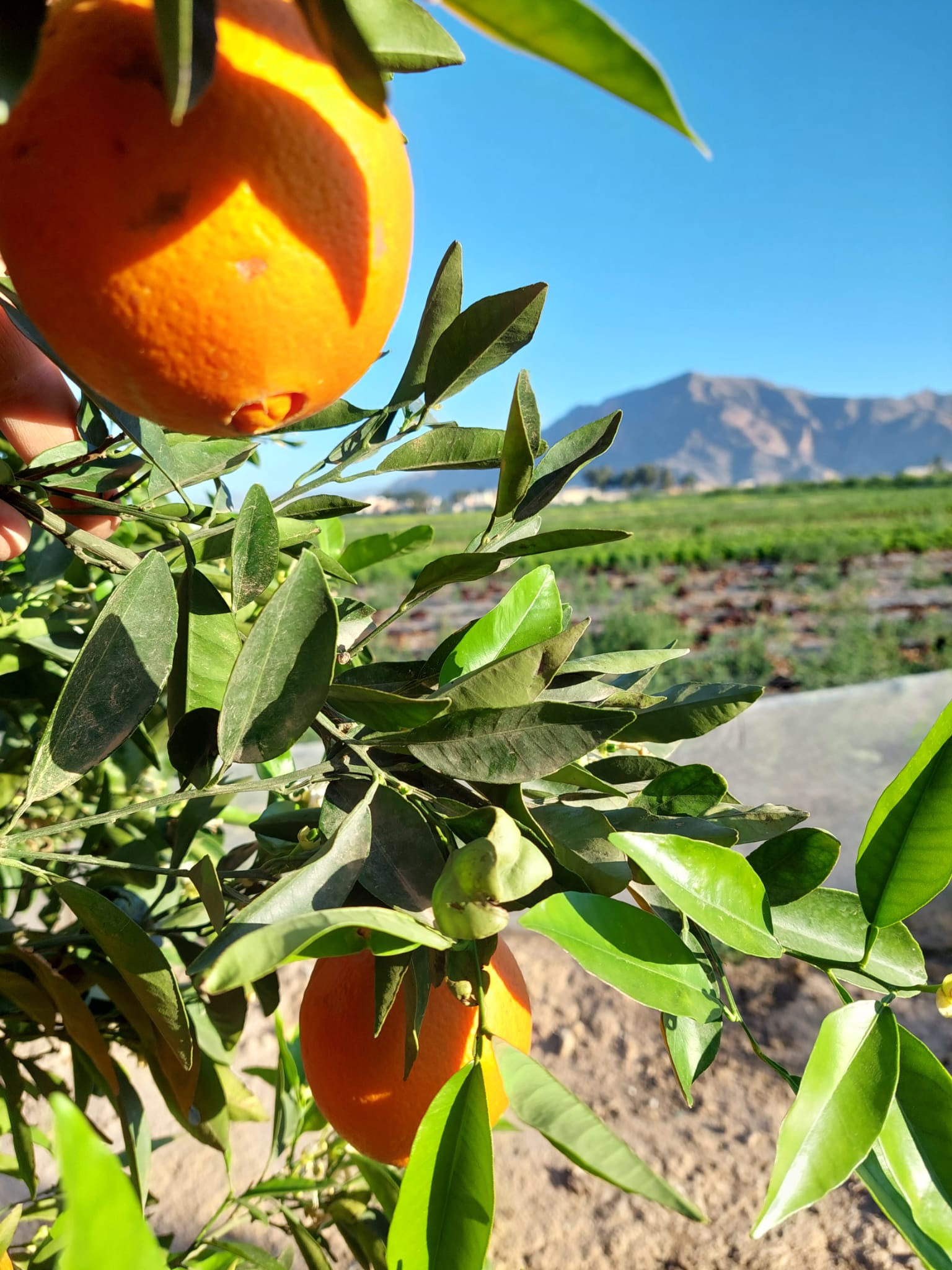 069ed7d4-bbd3-4024-81bf-40dc544f617c