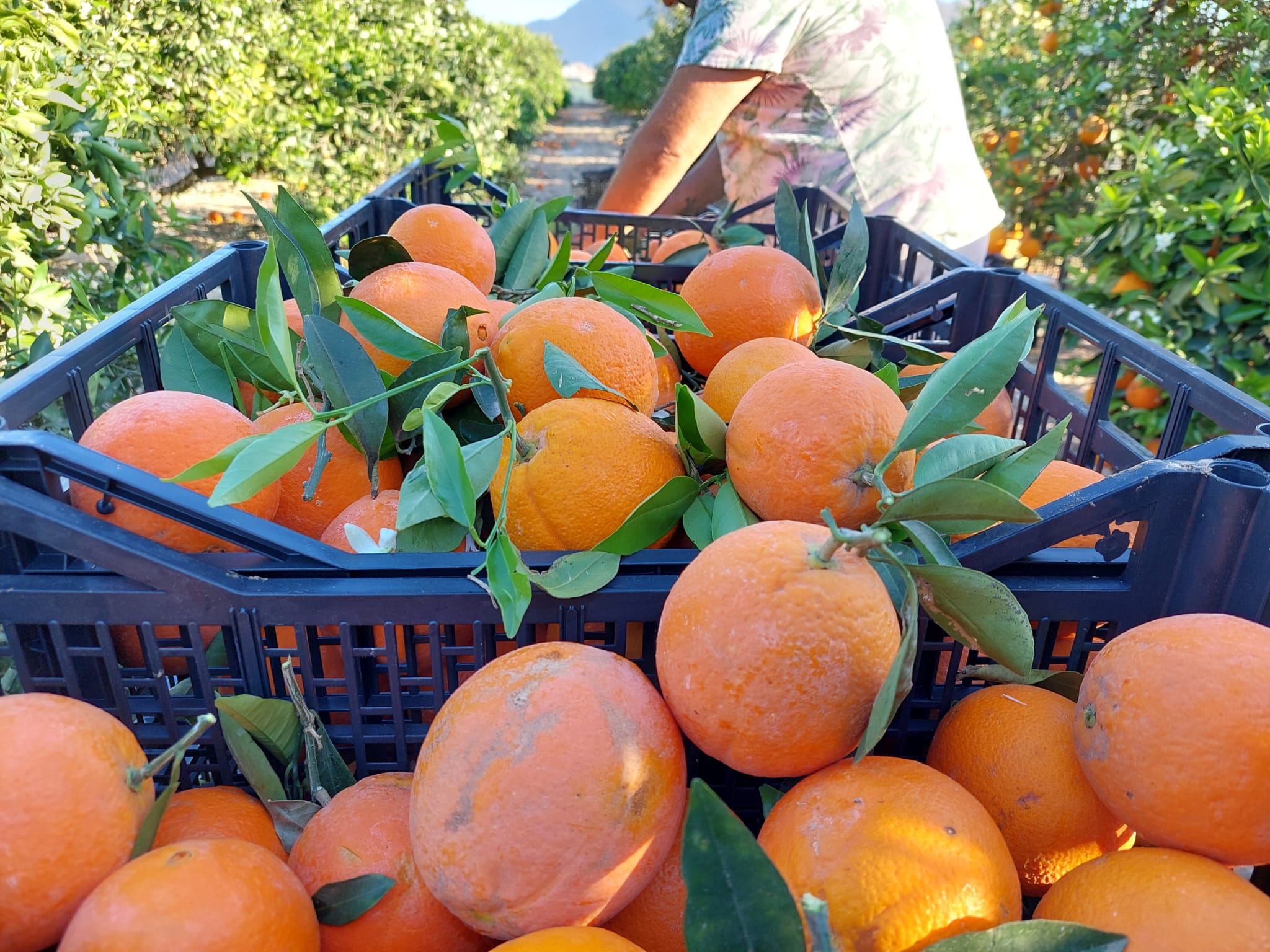 09841bbb-1147-415d-b1d2-d6756935b401