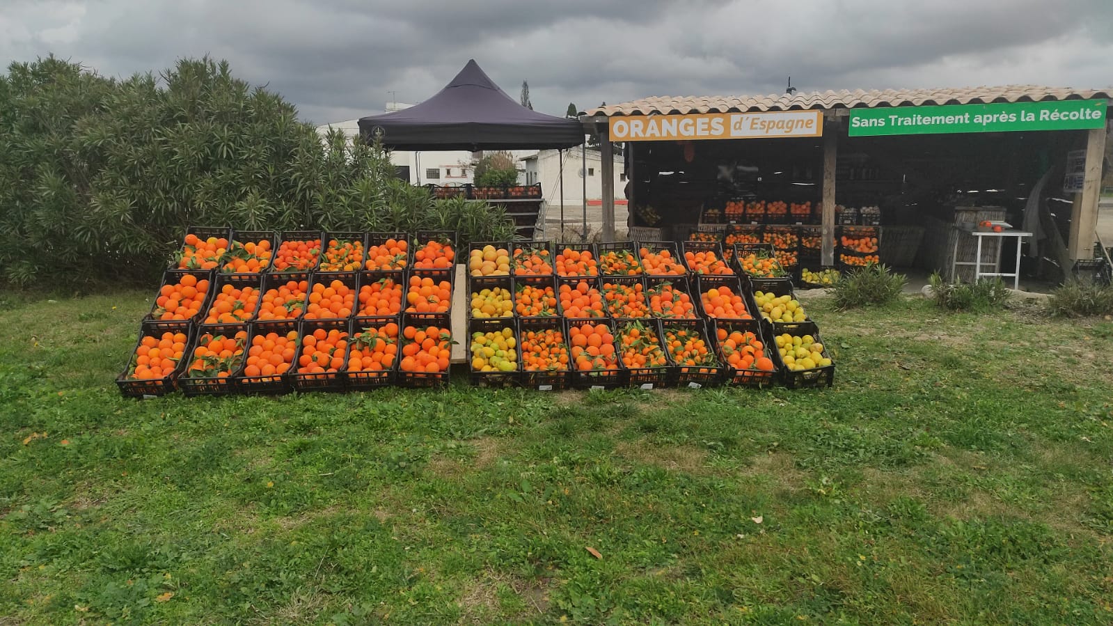 0df78e73-75d9-465c-a782-efbbf31b3228