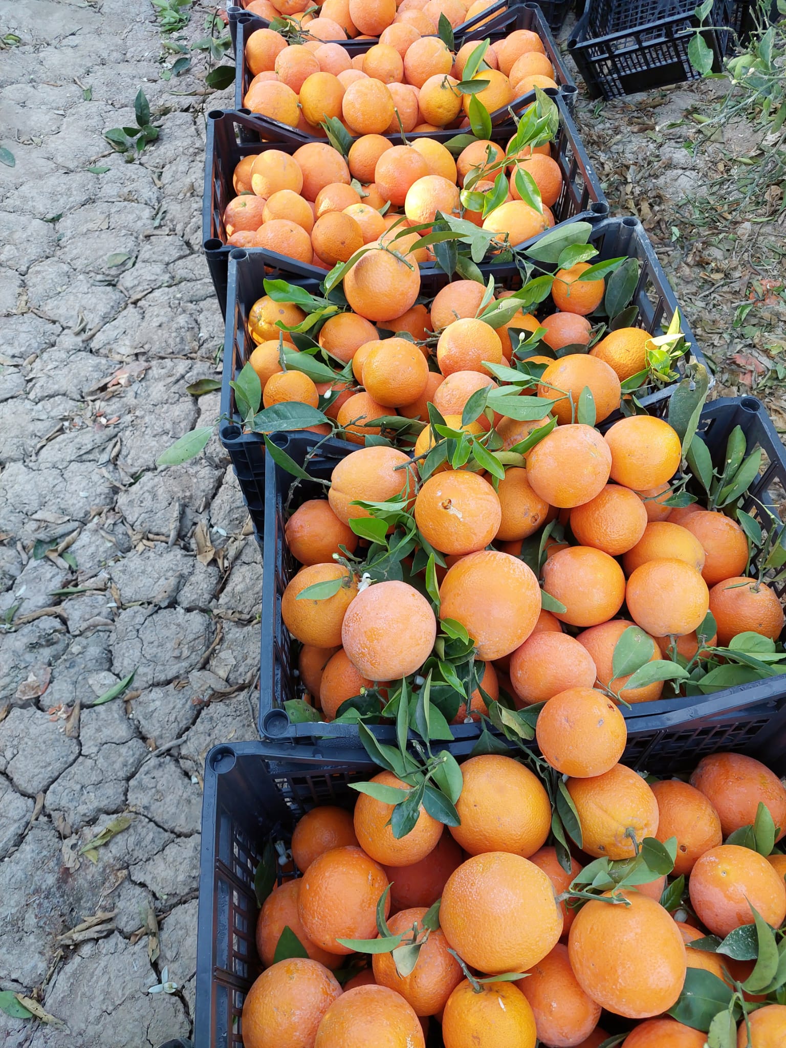 1e542a64-8cf4-4d7b-be84-ea66a279e72a