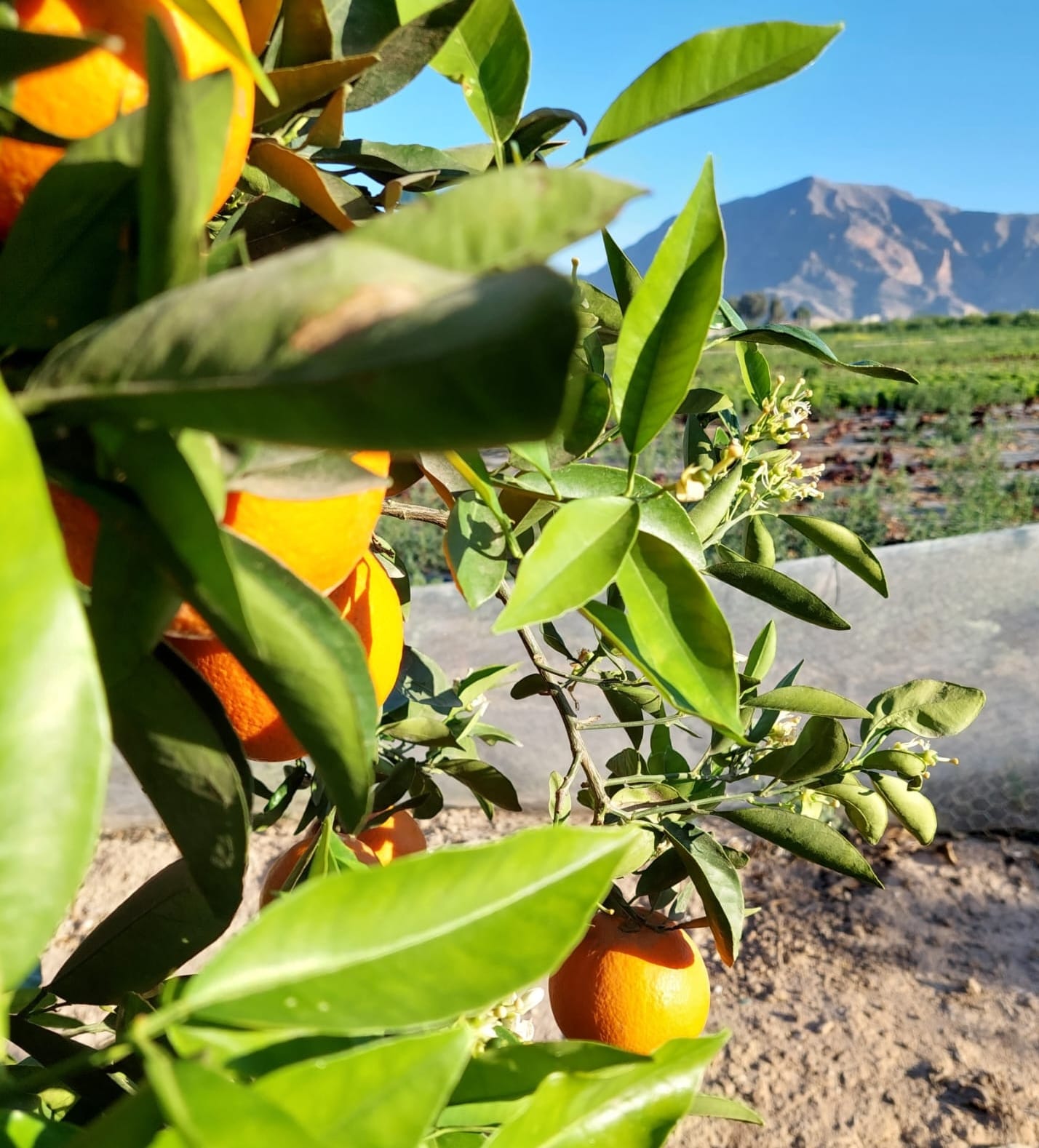 1e703ba7-7c50-495a-8136-81359c067444