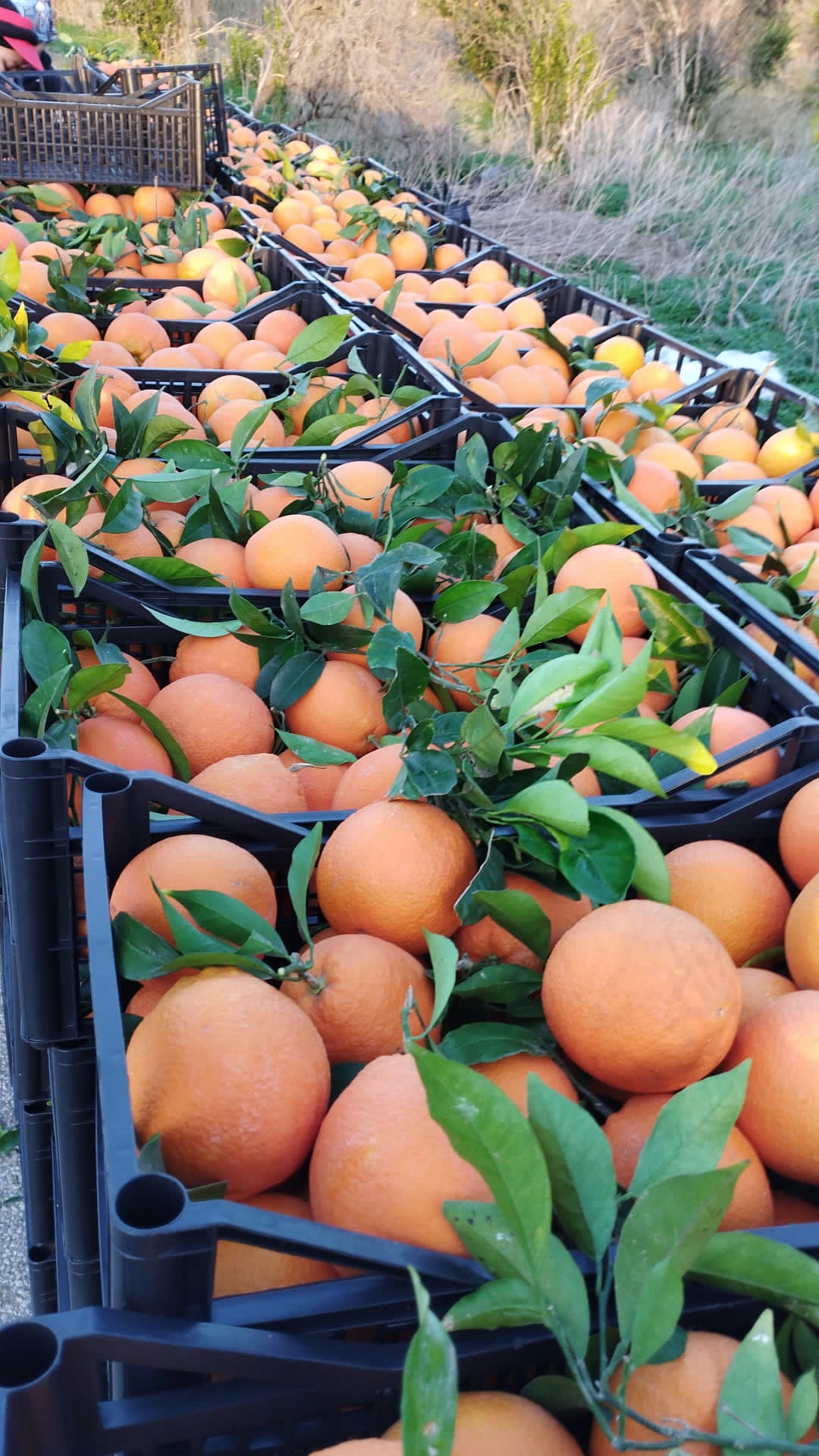 21b7241a-607f-47d3-a951-d7549e351d62