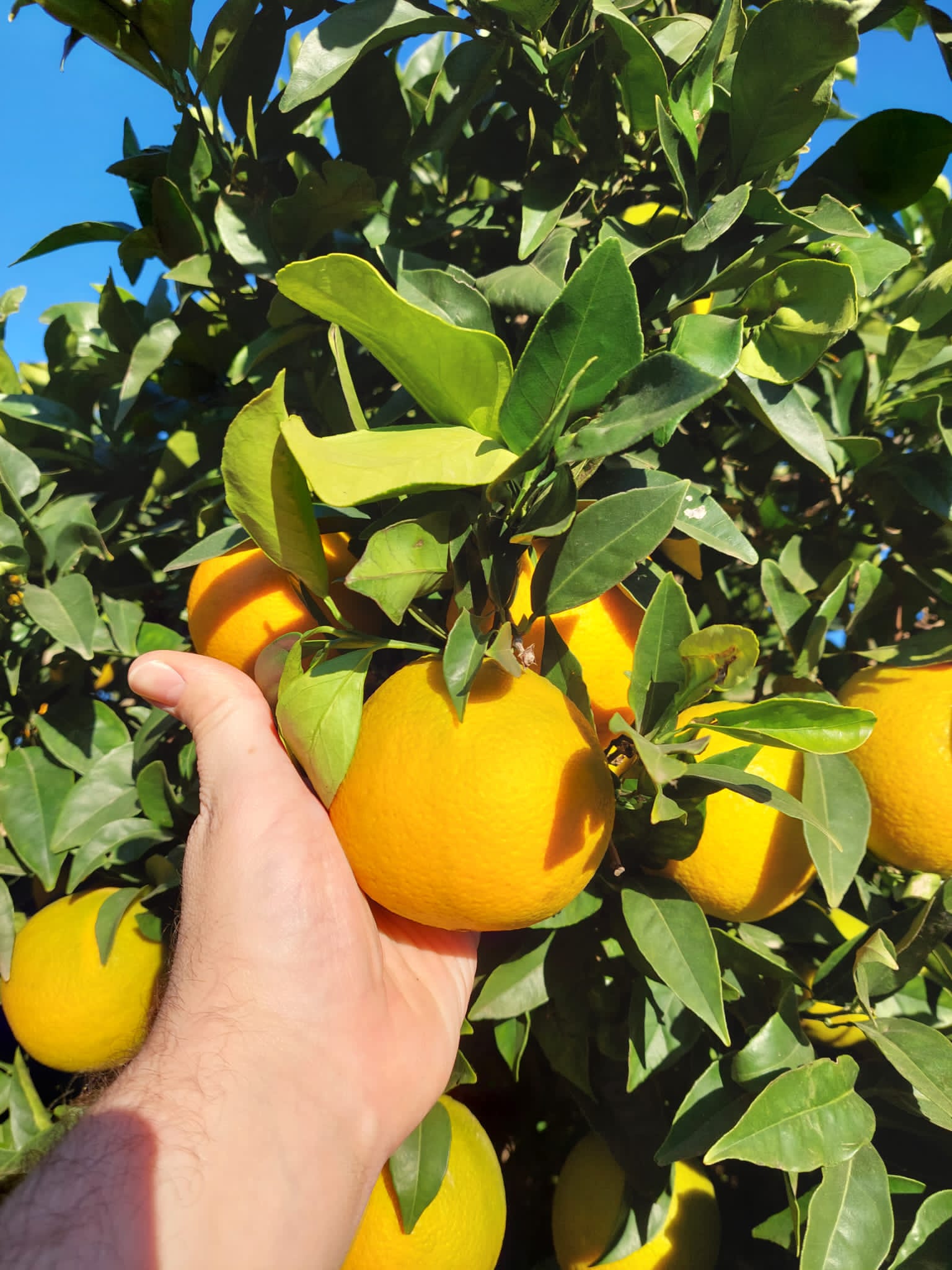 2b2e8240-e1a0-4842-92f6-de5e628c6235