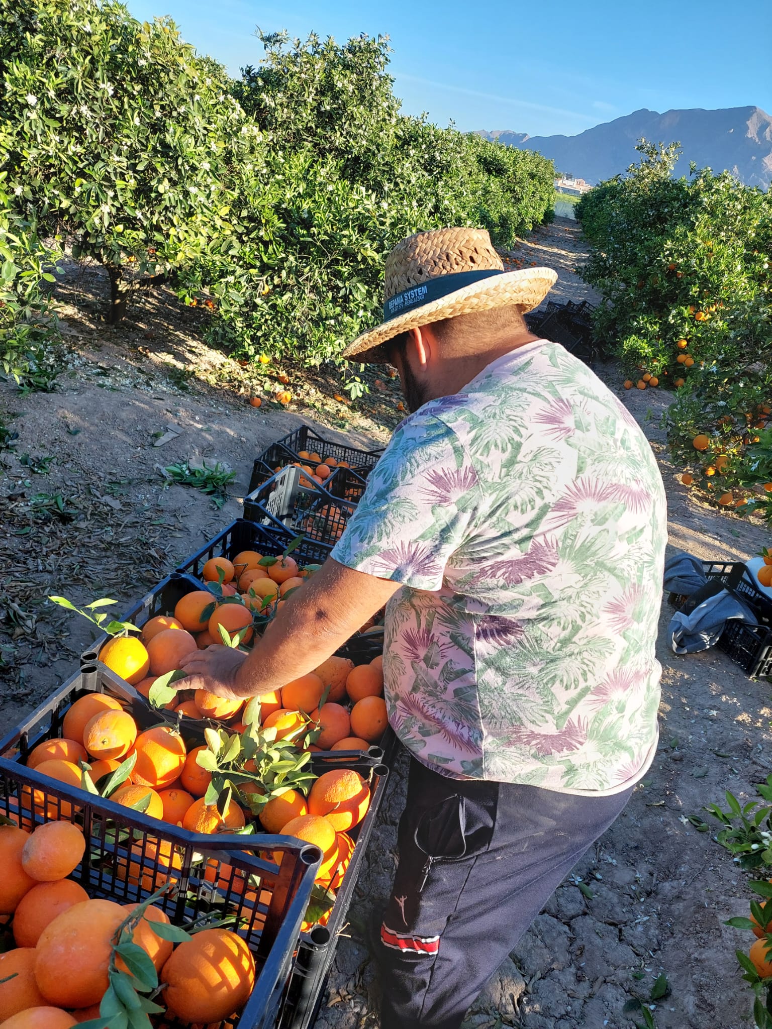 3d873adf-a24b-4161-a54c-77f2fe371117