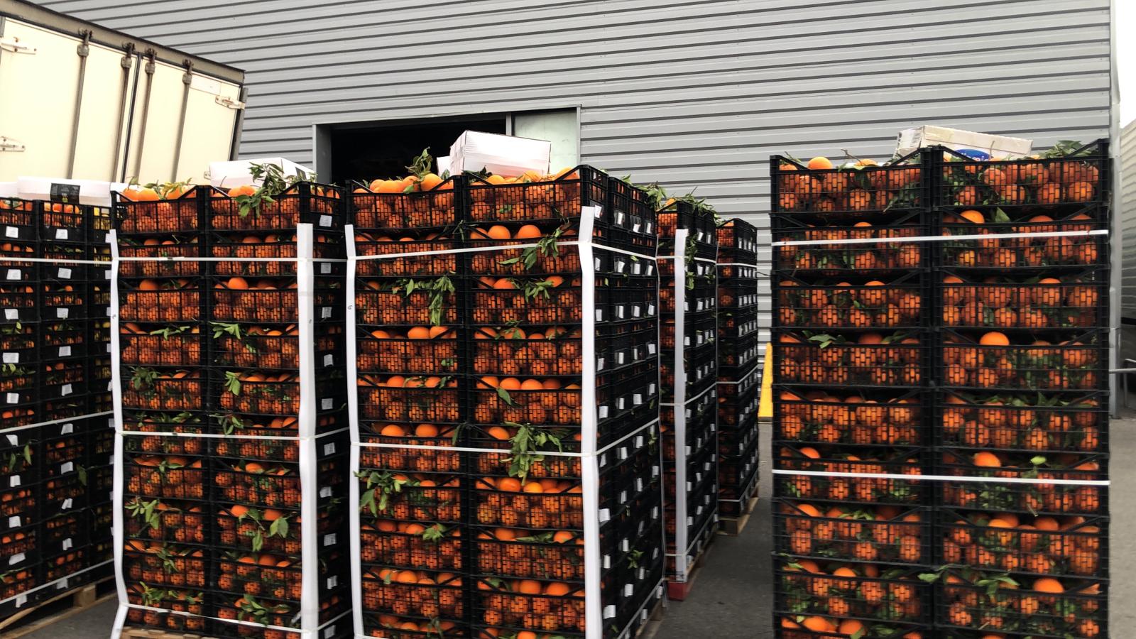 47f1808e-807a-4f78-9321-0710c4ac706b