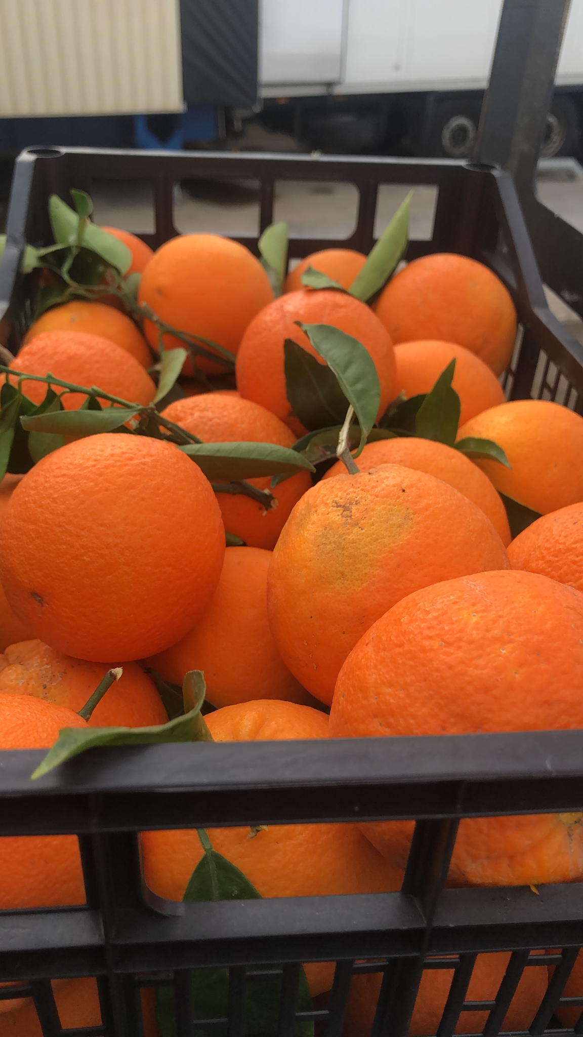 5ca14859-31a9-49c0-af4e-4f193775ec3e