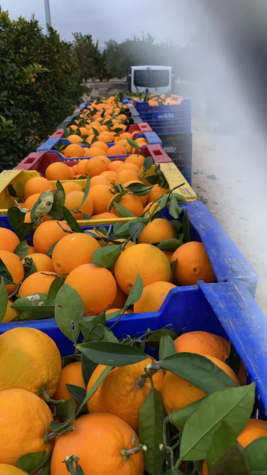 5fc8b679-a25b-4cc0-bd8f-53ab87807cb7