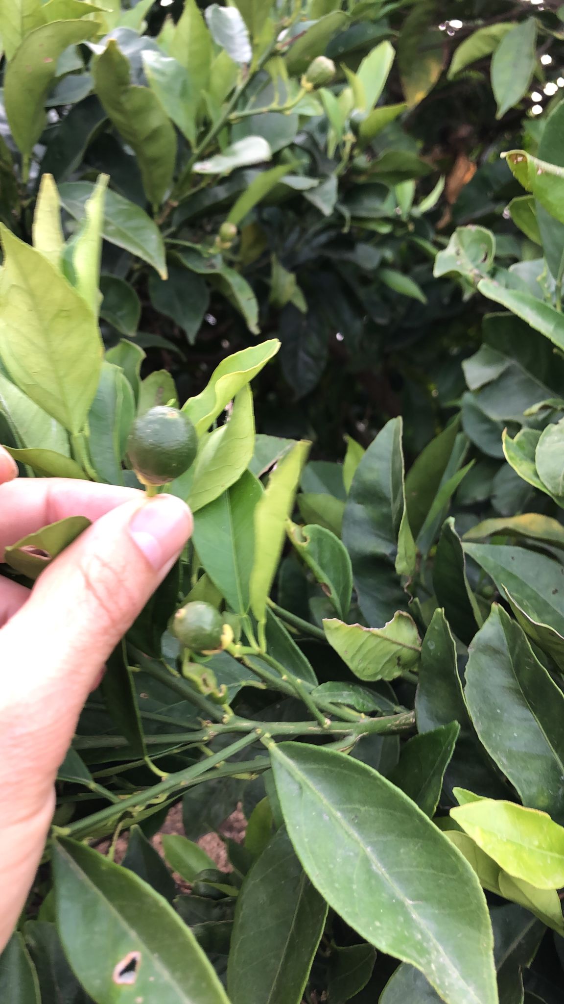 68f0956d-e2e8-4314-94fa-4204d039dd4c