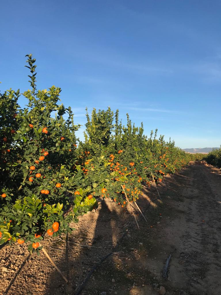 6935031f-3e45-4b79-b239-079c9e4644c9