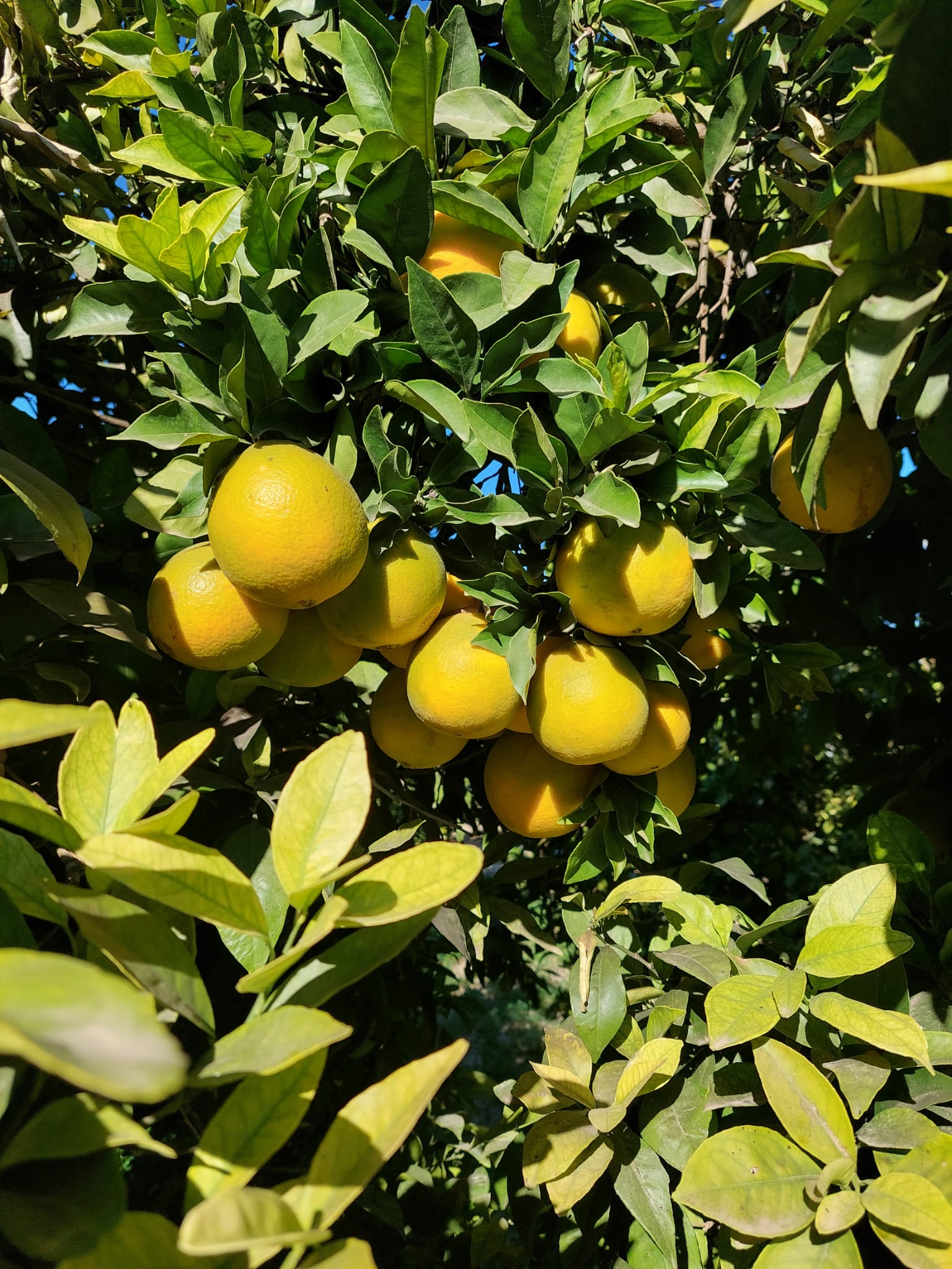 69c1cb6f-c510-4f45-983e-a55d0e133d4c