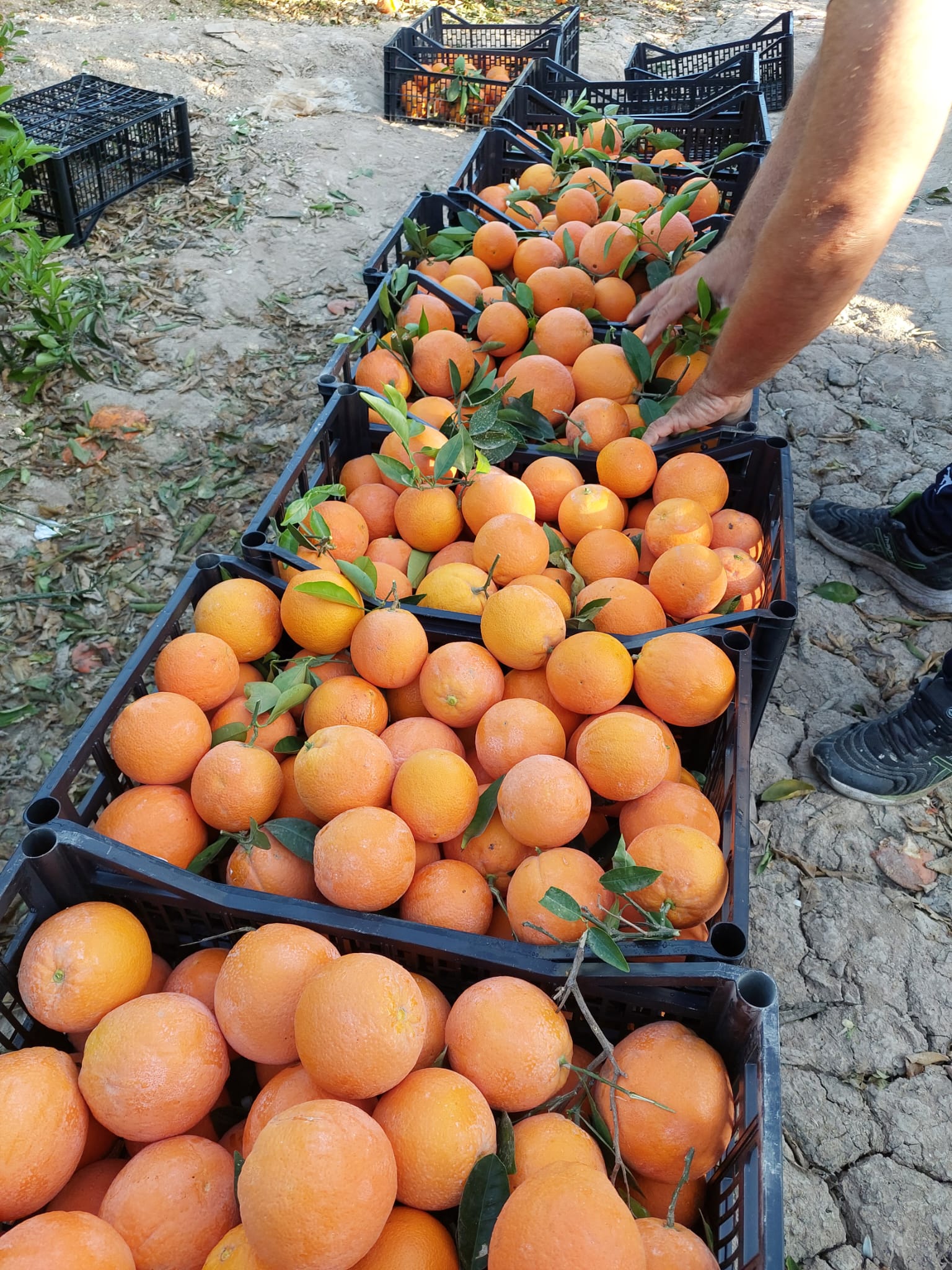 6cf0cc70-f5c8-4e7f-98ee-88aaef1f32c5