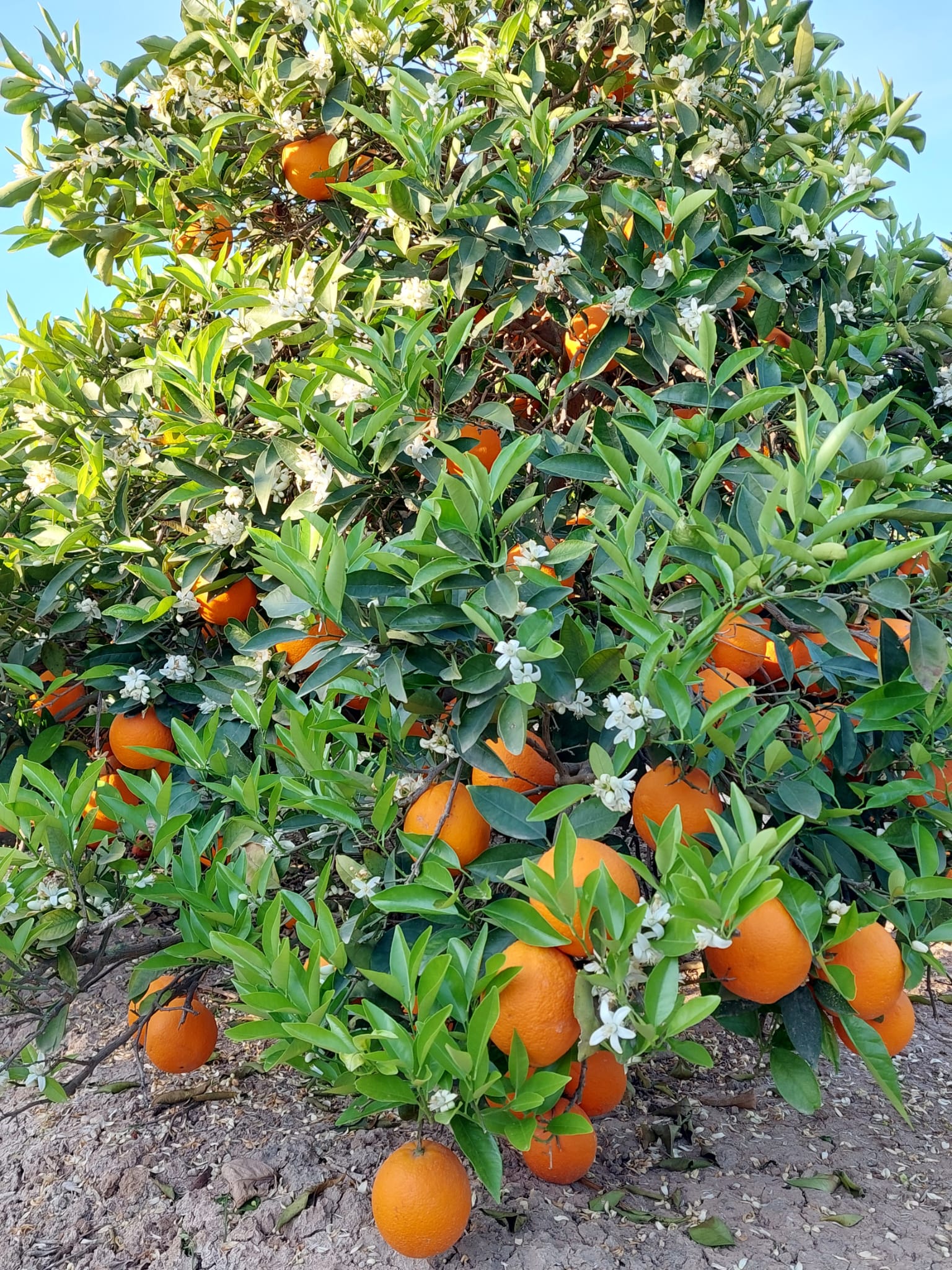 829795a5-79bc-41a6-97b2-033f95571efe