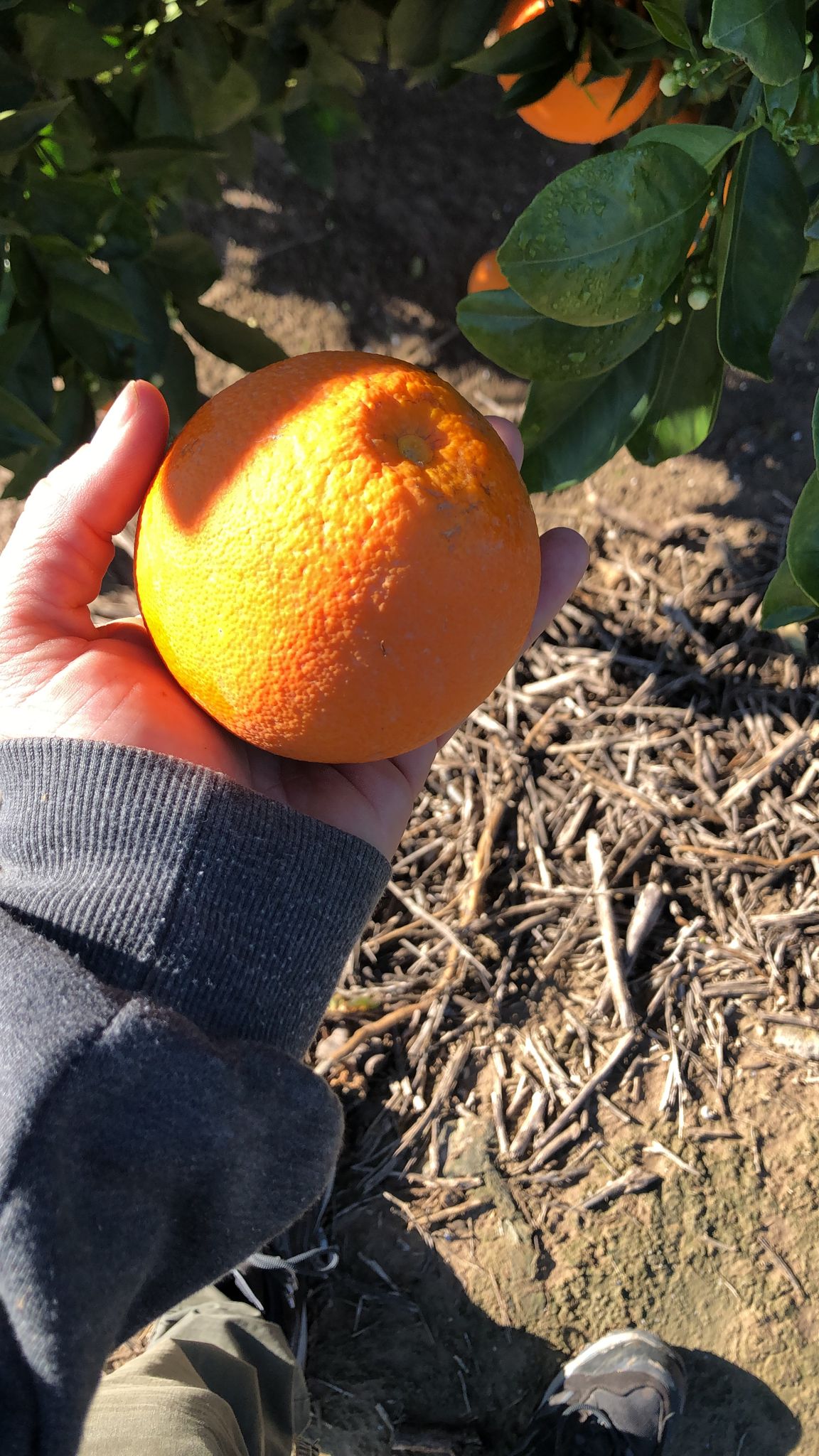 82ed4274-6737-49d2-810d-8788b8bfa860