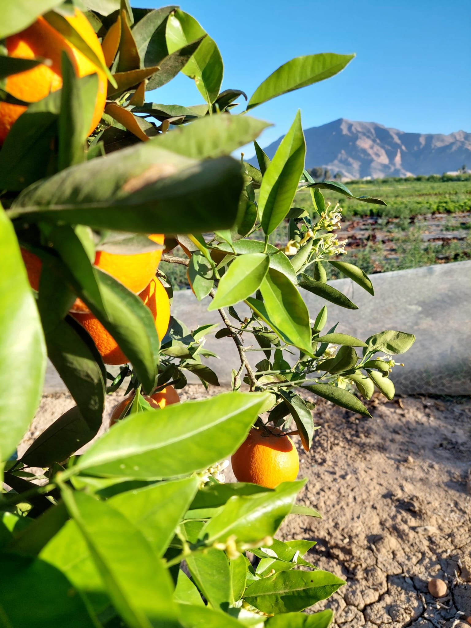 99f0e806-c9e3-4c1d-b616-02d29cd6bd5f