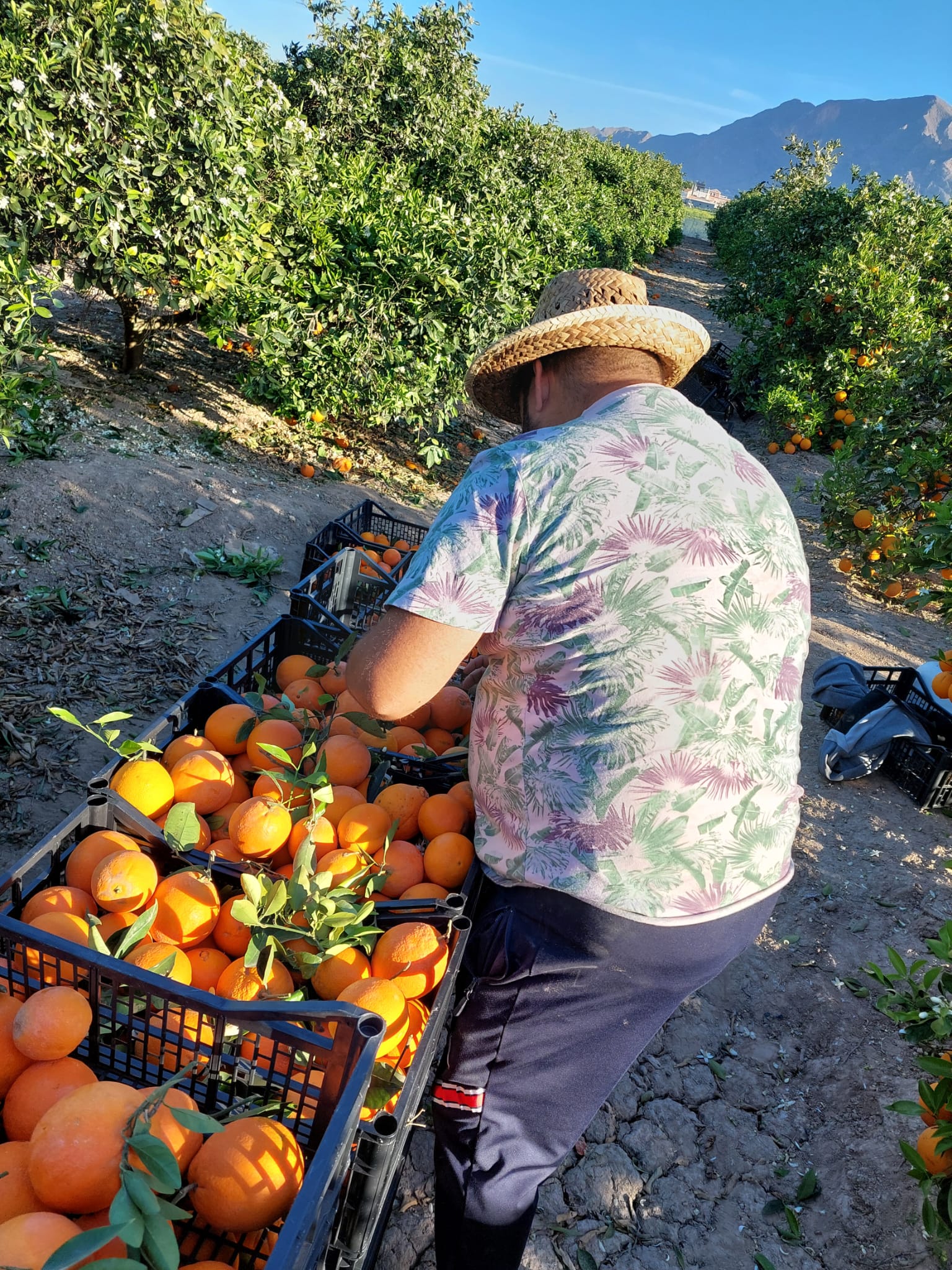 a5ac4975-efc2-455d-9b9b-dc9397ad4d8b