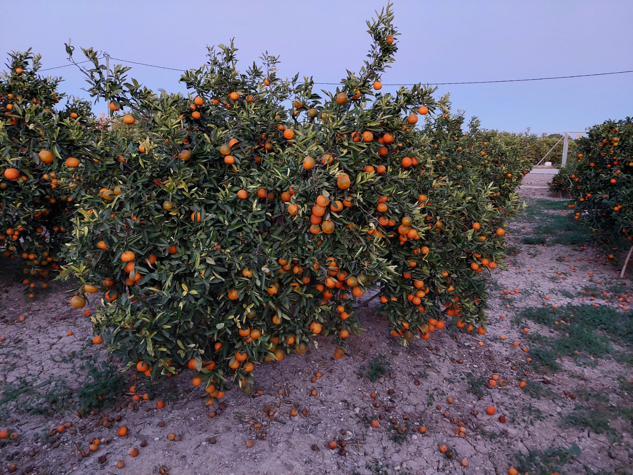 a6f20d2d-5195-4f75-b42b-dbfc3a5c20e8