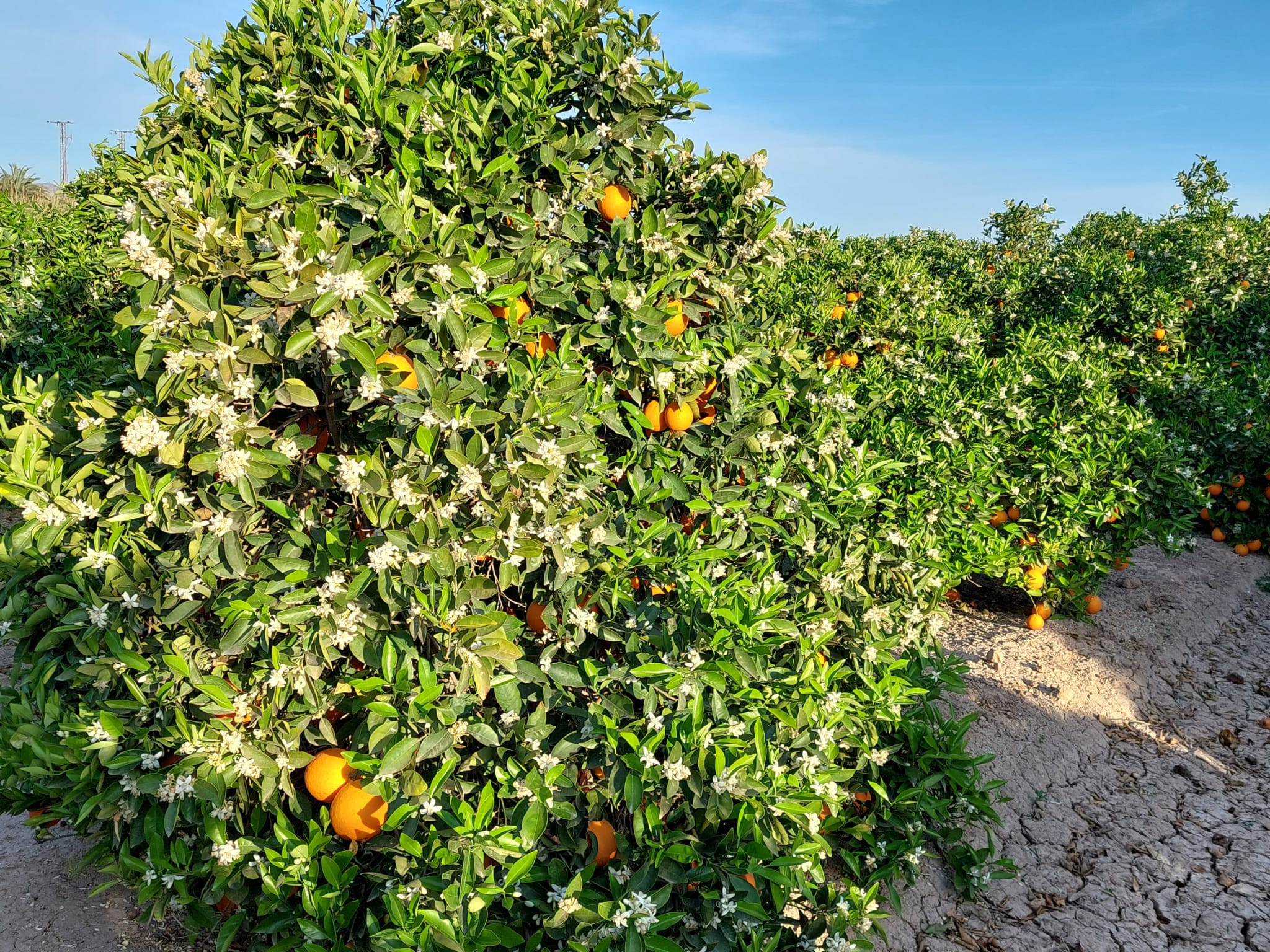 b7c86209-aa1c-4ee2-9e0a-6506c6ade329