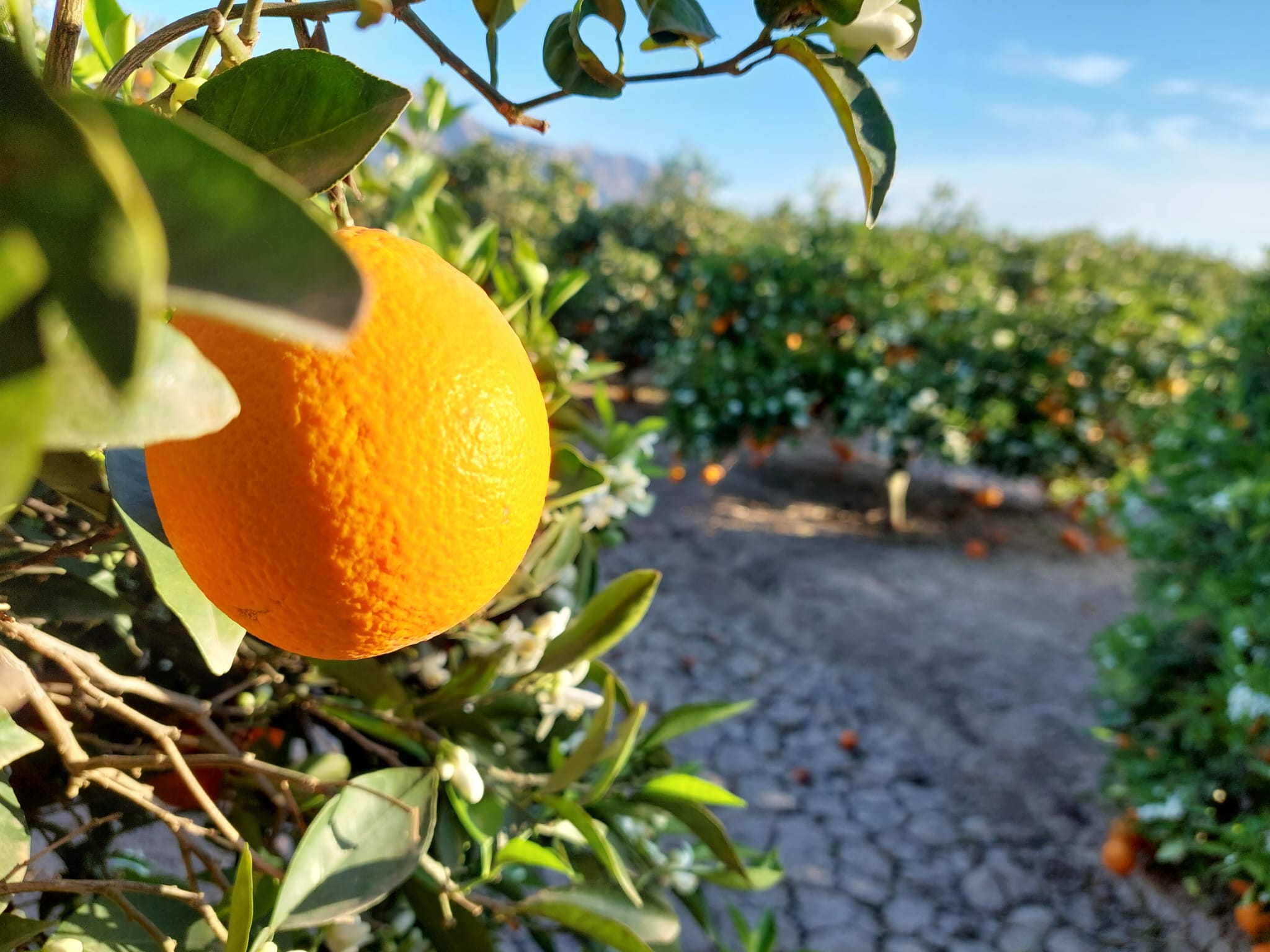 baeb4f9c-cc04-4022-8f95-f6c8a10cab40