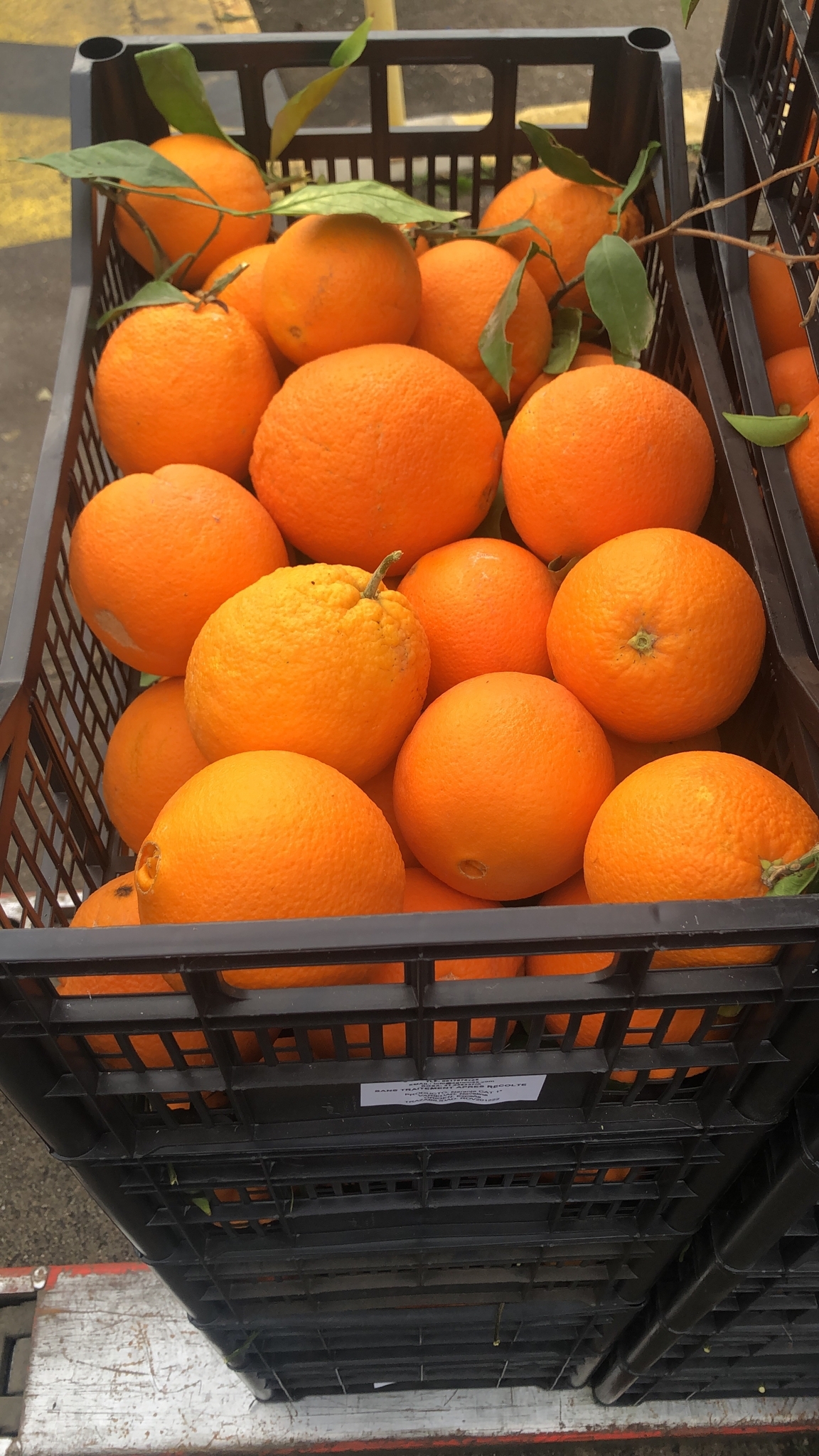 c19d4d69-56b9-42d0-a242-758caa989557