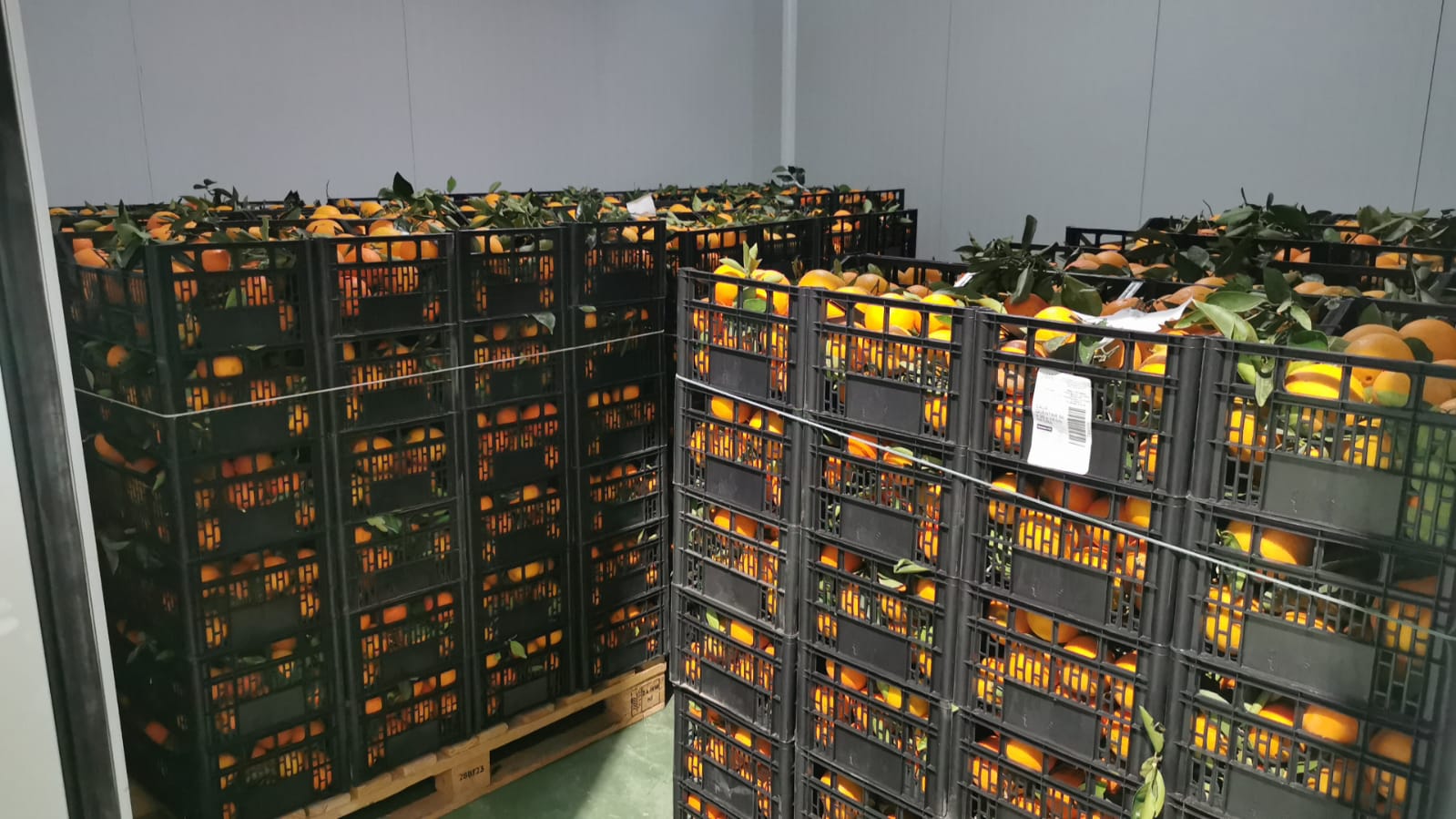 d82425b7-ef48-4206-9cfc-647c0a696298