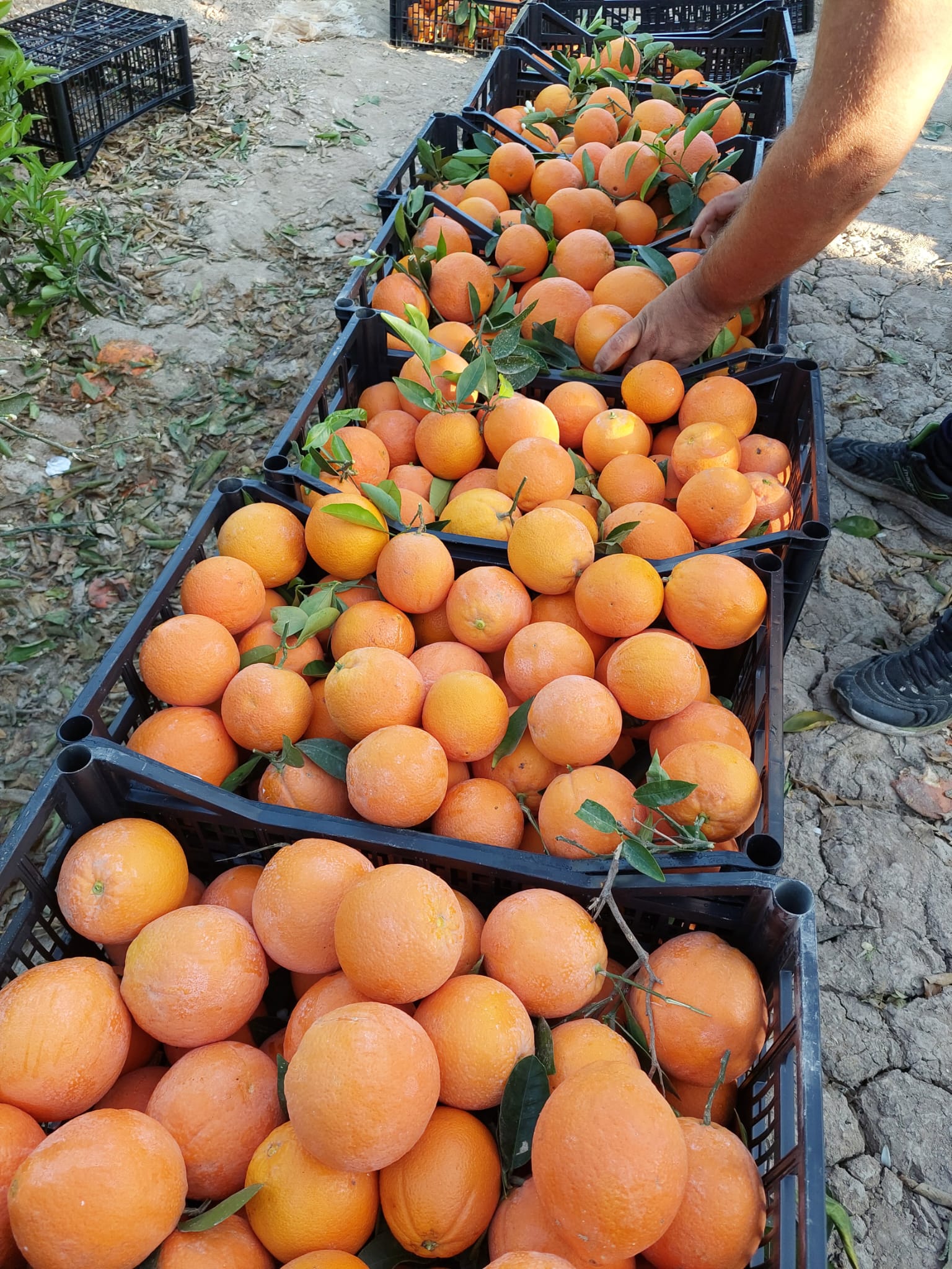 da93b556-56c9-4d8b-84fe-b36e23c6ef0e