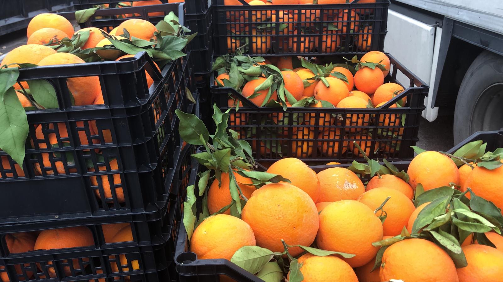 e1bc072f-d112-4b88-9f00-fa05e4c20cf9