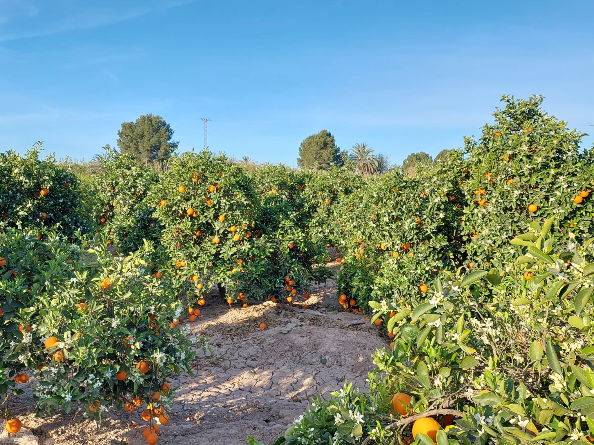 e9fc774a-38a1-459c-b645-9cc6034b3497