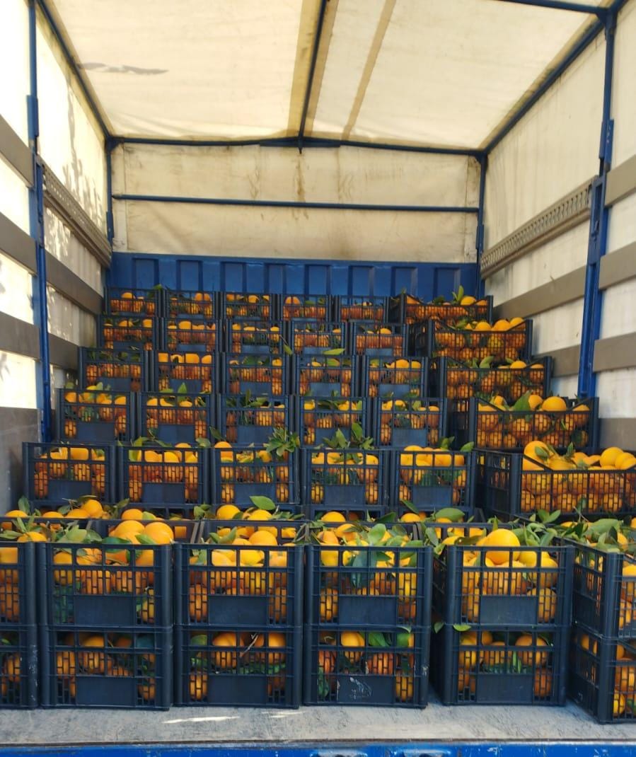 ebb4e4a3-10d6-41d3-8d08-b1f9102e5644