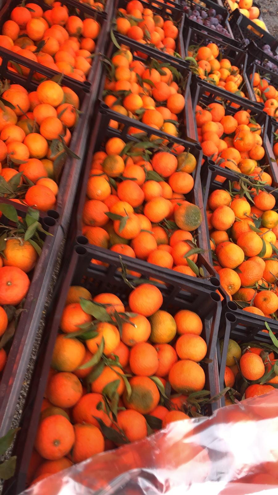 f1aa57c7-b786-468f-86c5-858220d26f7b