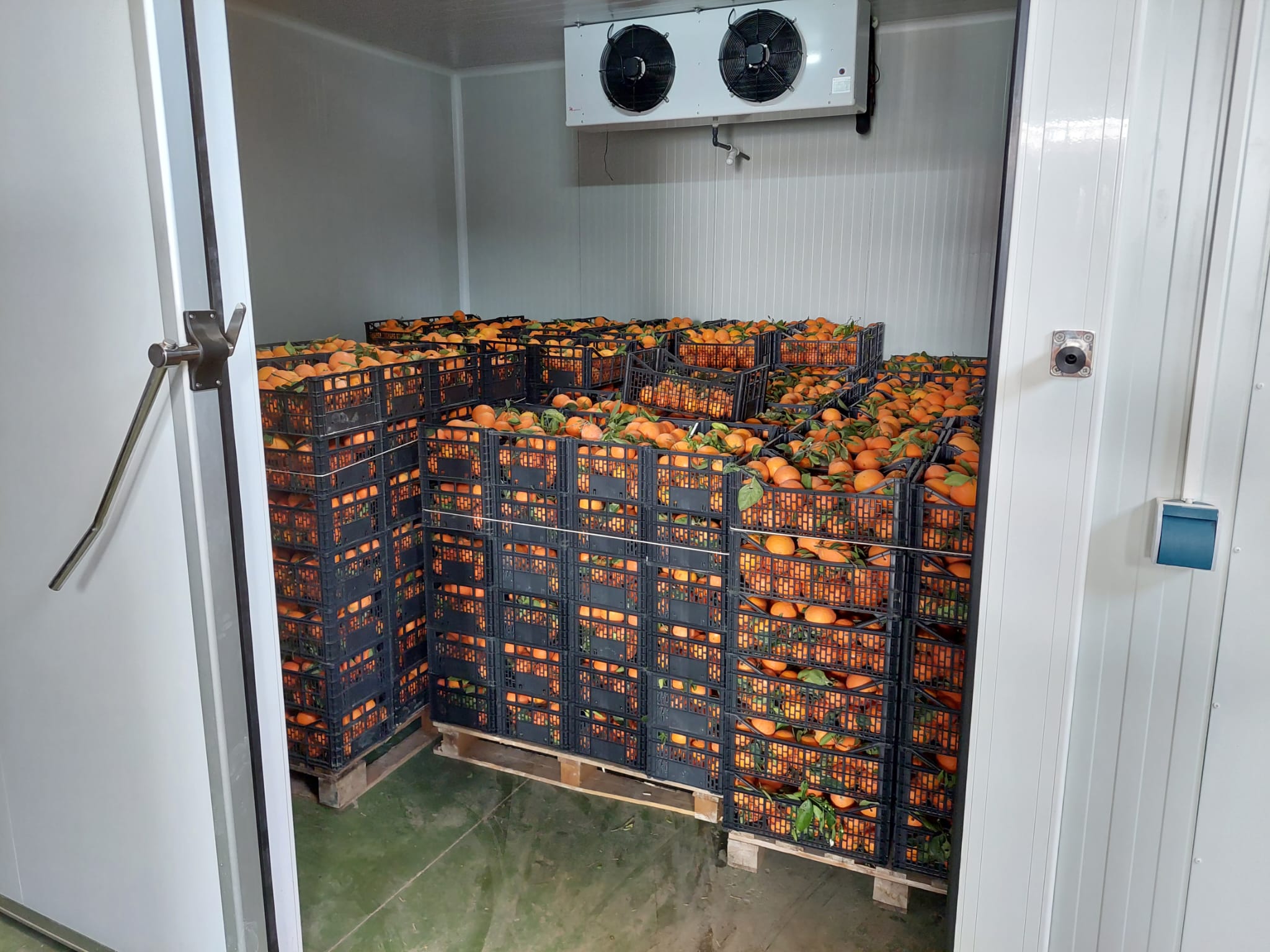 f1c9af1d-e37d-46c0-be13-6df047cad6f1