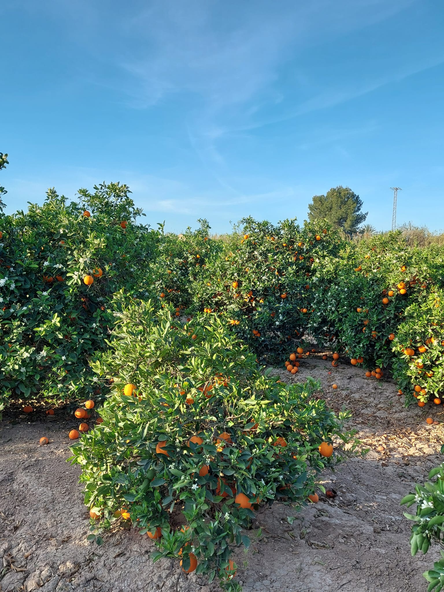 f382d661-0ee8-4044-9719-4fb2a42f4e3c