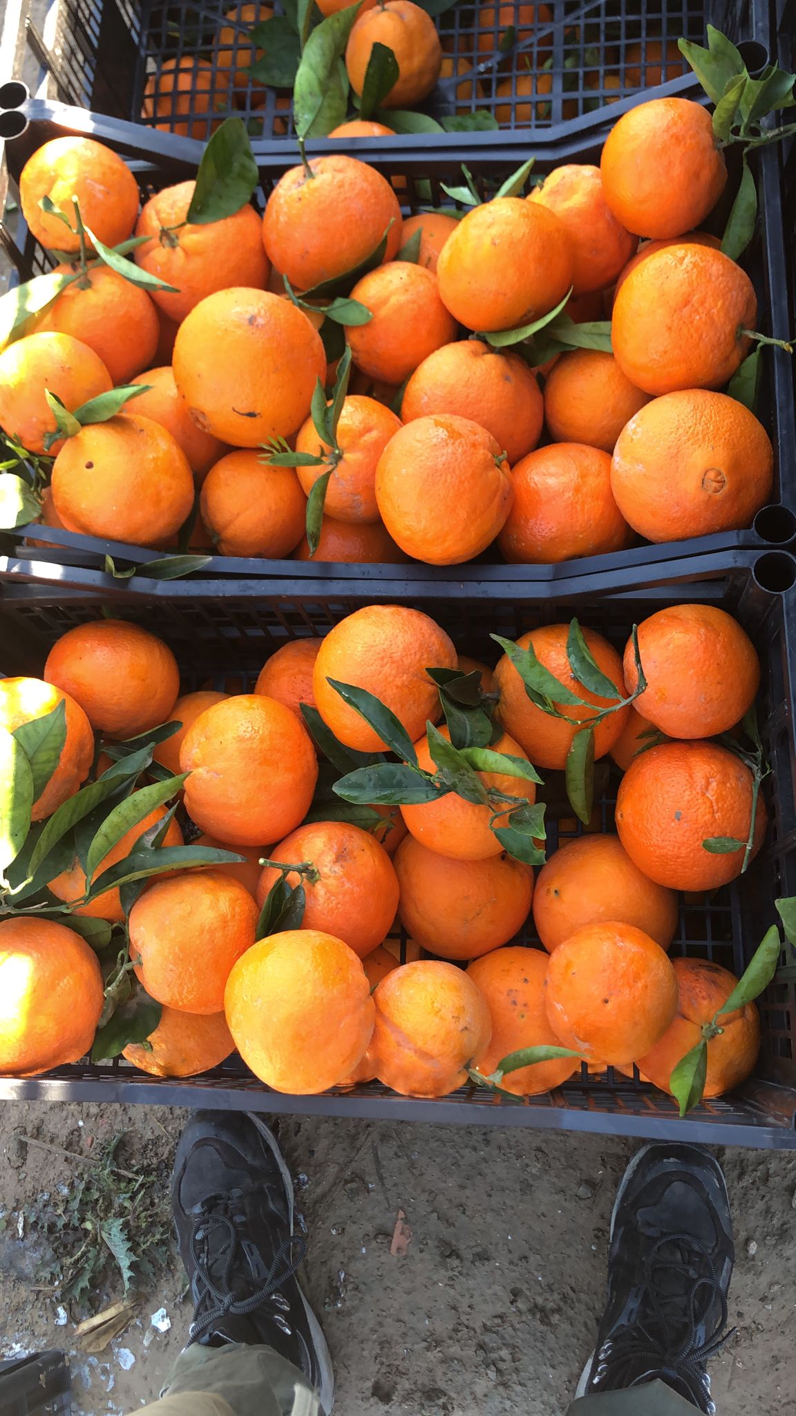 f53b0ee3-92d5-436f-a58e-bea8c52b9348