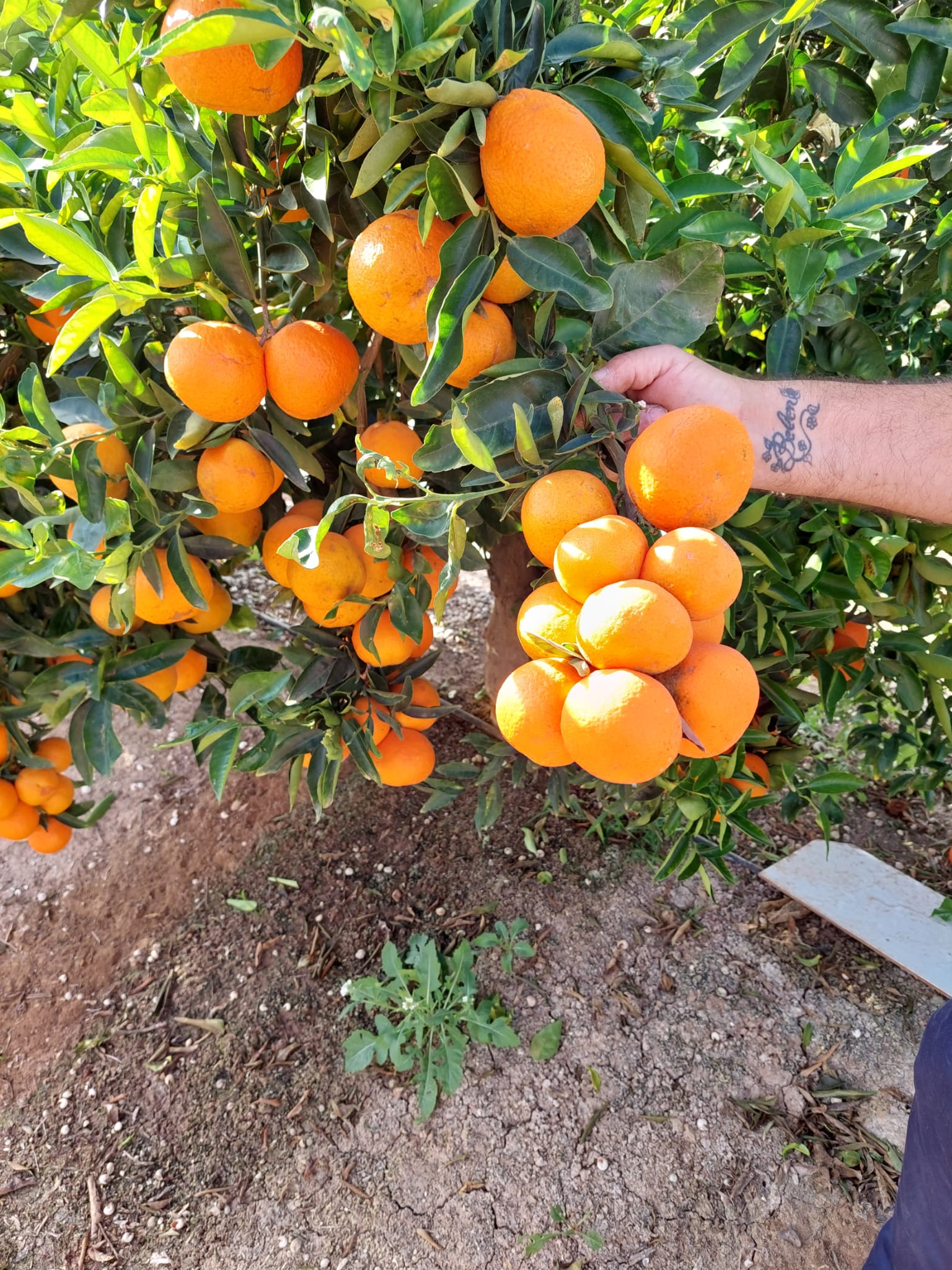 f7a6fefc-c8e3-4332-9ae8-1359d63de60a